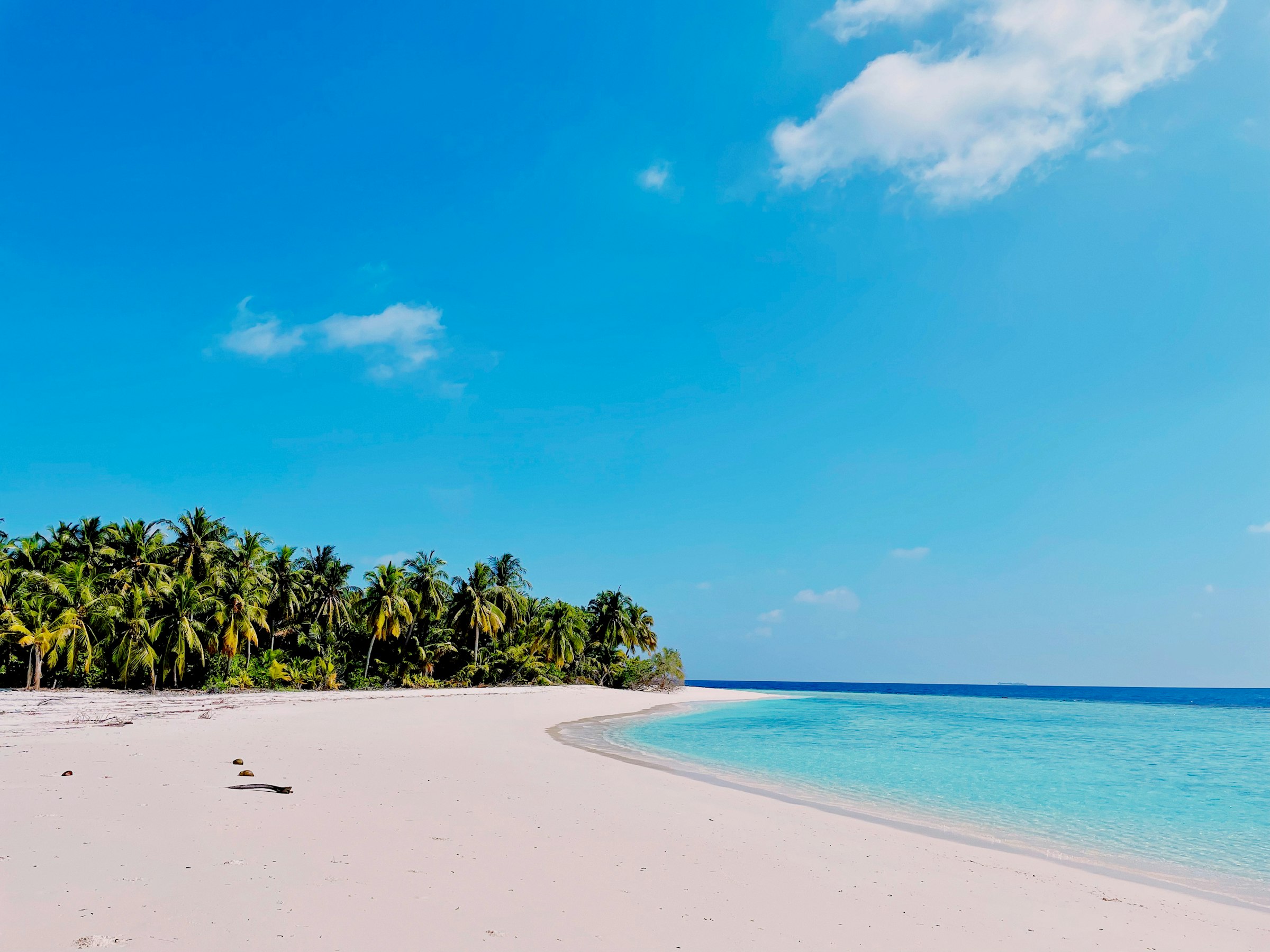 Пляж на Мальдивах с пальмами